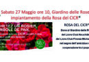 Dono della Rosa del CICR al “Giardino delle Rose” di Firenze